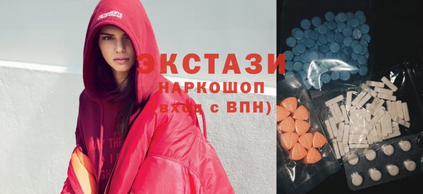 спиды Ельня