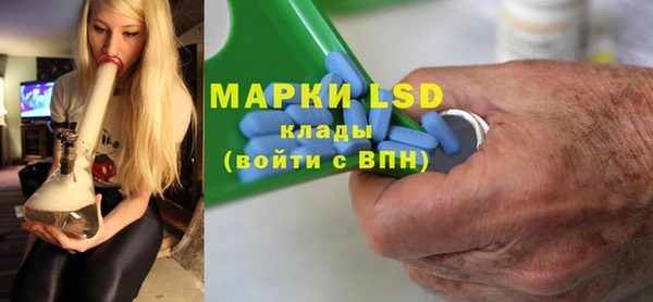 ГАЛЛЮЦИНОГЕННЫЕ ГРИБЫ Заволжье