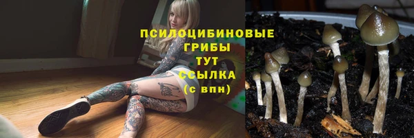 скорость Заводоуковск
