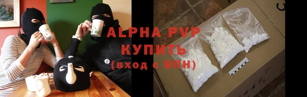 ГАЛЛЮЦИНОГЕННЫЕ ГРИБЫ Заволжье
