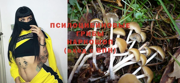 ГАЛЛЮЦИНОГЕННЫЕ ГРИБЫ Заволжье