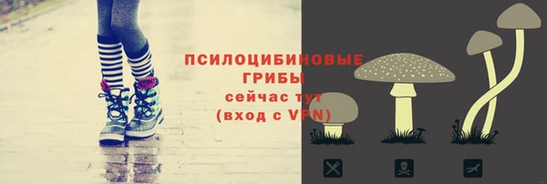 ГАЛЛЮЦИНОГЕННЫЕ ГРИБЫ Заволжье