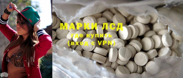 спиды Ельня