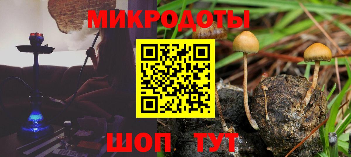 Галлюциногенные грибы MAGIC MUSHROOMS  Псилоцибиновые грибы MAGIC MUSHROOMS  Фрязино  Вход с VPN 