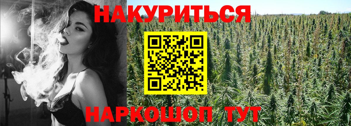Бошки марихуана семена  Вход с VPN  Каннабис MAZAR  Фрязино  Каннабис LSD WEED 